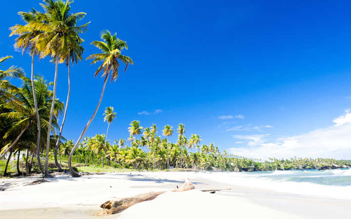 St Kitts et Nevis (St Kitts)